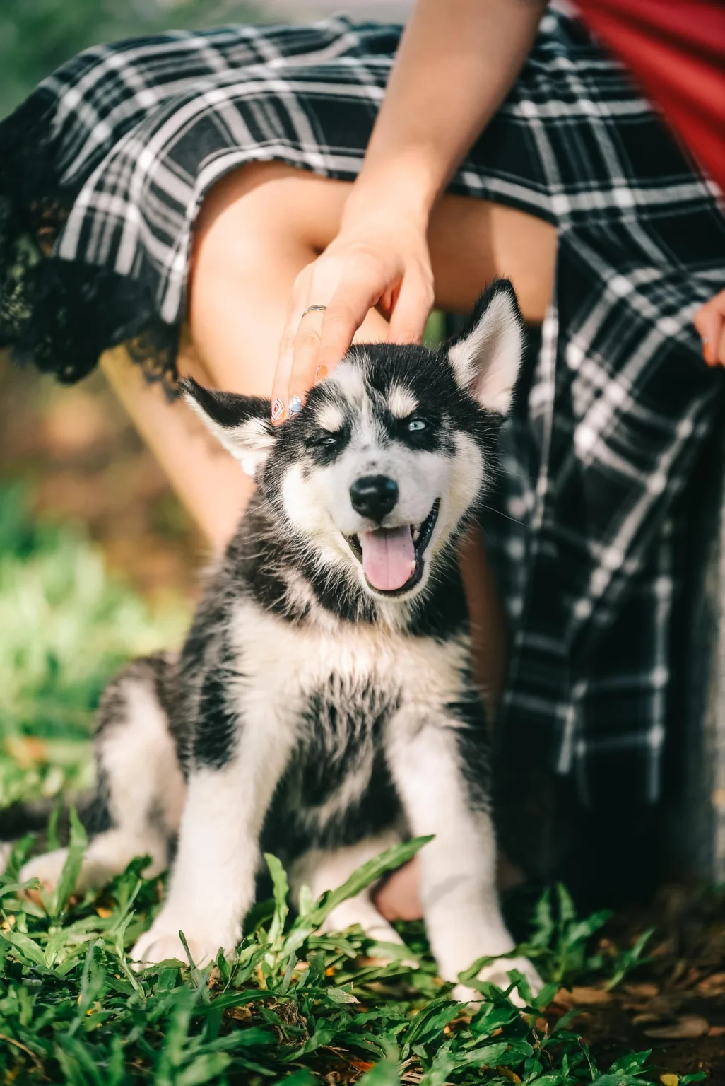 Elas cuidam, alimentam, educam, protegem e demonstram afeto diariamente. Mesmo sem filhos humanos, muitas mulheres se reconhecem como mães de pets