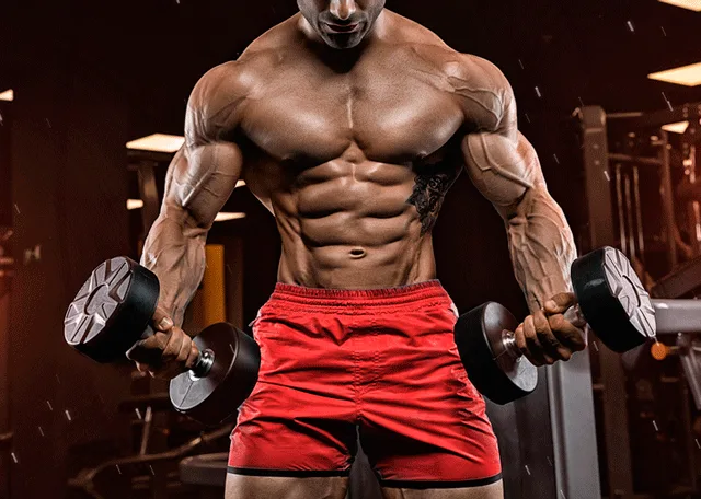 A morte súbita cardíaca tem vitimado fisiculturistas masculinos em todo o mundo, de acordo com uma pesquisa publicada recentemente no European Heart Journal. Foto: Divulgação