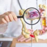 Como já vimos no primeiro suplemento da Série Dr. Responde - ‘Intestino em Alerta - O que seu corpo está tentando dizer’