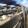 A Secretaria de Estado da Fazenda do Pará (Sefa) apreendeu no último sábado (24) duas grandes cargas com irregularidades fiscais,