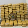 Em uma operação conjunta realizada nesta sexta-feira (16/5), a Polícia Federal e a Força Aérea Brasileira prenderam dois homens em flagrante por tráfico interestadual de drogas