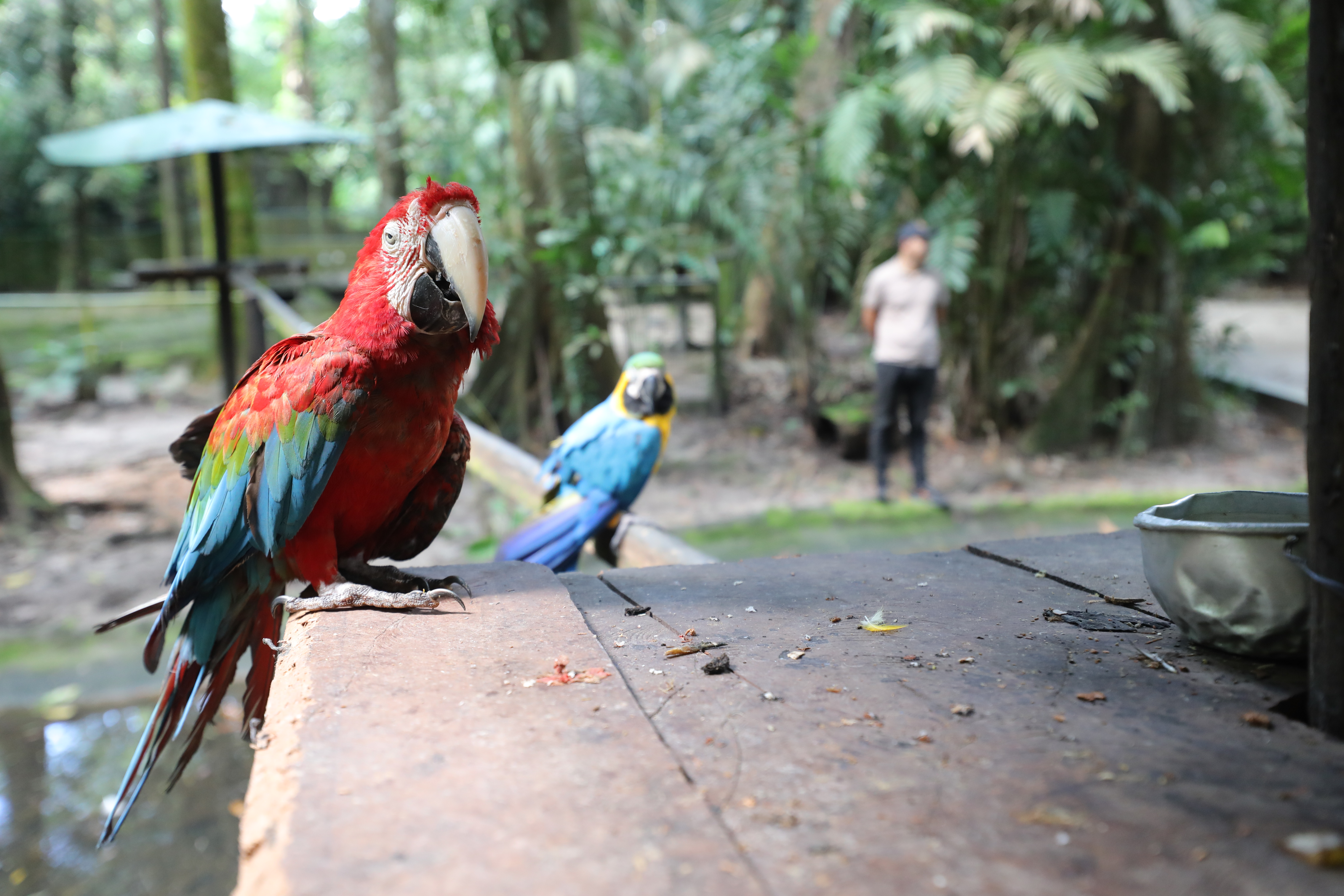 Foto: Jader Paes/Ag. Belém