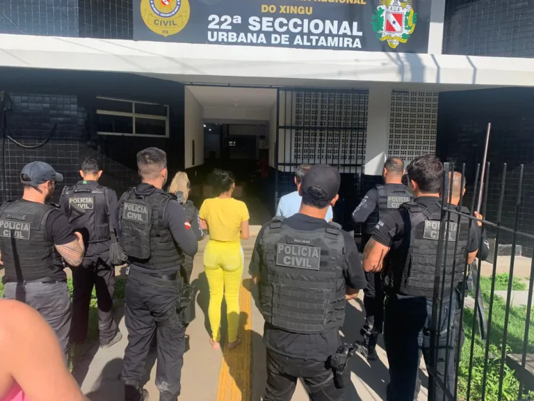 No final de abril, a jovem Mônica Carvalho Rosa, de 23 anos, foi brutalmente assassinada a tiros por um pistoleiro que desceu de uma caminhonete e disparou contra a vítima quando ela chegava na casa da mãe, no município de Brasil Novo, região sul do Pará.