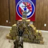 . Ísis, uma cadela da raça Pastor Belga Malinois, é hoje um dos maiores trunfos do 2º Batalhão de Missões Especiais (2º BME), em Santarém.