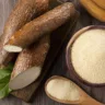 Museu da Mandioca: exposição e gastronomia - uma verdadeira imersão na a história, cultura e sabores de um dos maiores símbolos da nossa identidade
