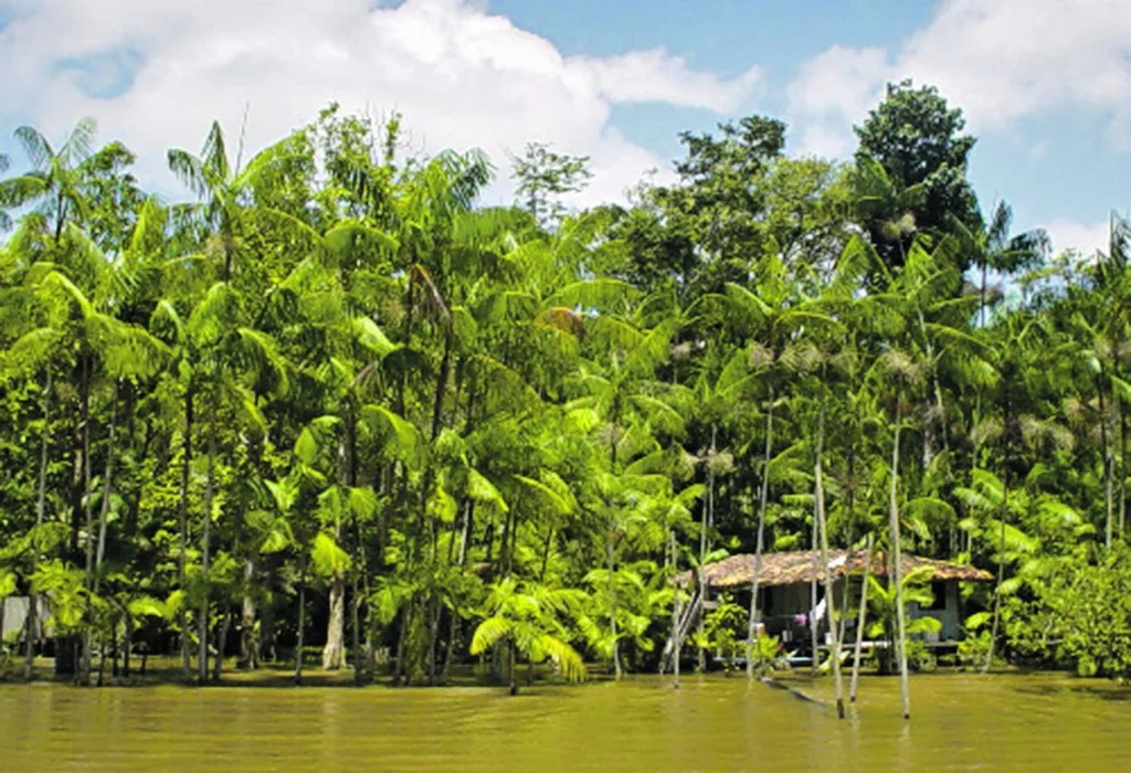 Autor da proposta, o senador Jader Barbalho defende a urgência da tramitação do PL, que deve viabilizar o desenvolvimento sustentável, aliando a economia com a preservação ambiental na região Autor da proposta, o senador Jader Barbalho defende a urgência da tramitação do PL, que deve viabilizar o desenvolvimento sustentável, aliando a economia com a preservação ambiental na região
