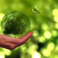 Em um cenário onde a sociedade exige cada vez mais responsabilidade das empresas, adotar práticas sustentáveis deixou de ser uma escolha para se tornar uma questão de sobrevivência.