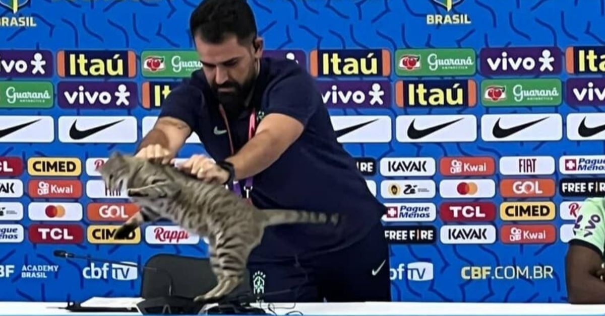 Foto: Reprodução