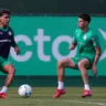 RB Bragantino e Palmeiras se enfrentam neste domingo (18), às 18h30, no Estádio Nabi Abi Chedid, em Bragança Paulista