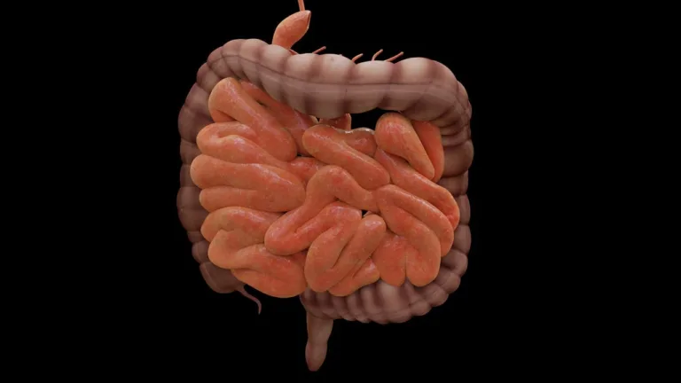 O intestino como espelho da saúde: quando o desconforto é sinal de alerta