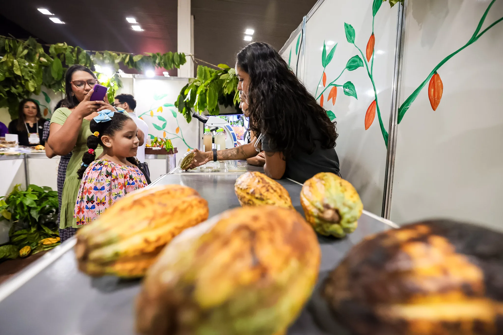 Pará sedia feira nacional de cacau sustentável e flores amazônicas