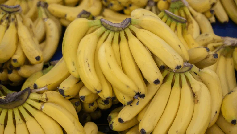Alerta urgente: bananas correm risco real de extinção, dizem cientistas