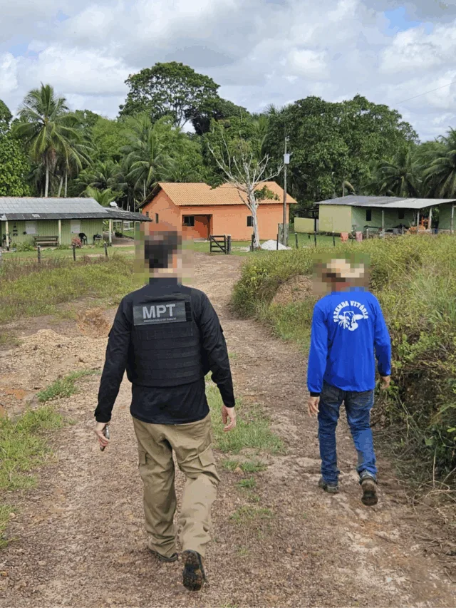 O fazendeiro assinou um Termo de Ajuste de Conduta com o MPT e indenizará jovem de 16 anos que exercia atividades presentes na lista das piores formas de trabalho infantil