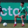 Palmeiras volta a campo nesta quinta-feira (15), às 19h (de Brasília), no Allianz Parque, com um objetivo claro: consolidar a melhor campanha geral da fase de grupos da Copa Libertadores da América. Foto: Cesar Greco/Palmeiras/by Canon