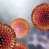 Apesar de ser prevenido com vacina, o rotavírus segue como o principal responsável pela diarreia grave em crianças de até cinco anos em países em desenvolvimento