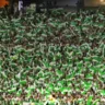 Torcida do Palmeiras. Foto: Divulgação