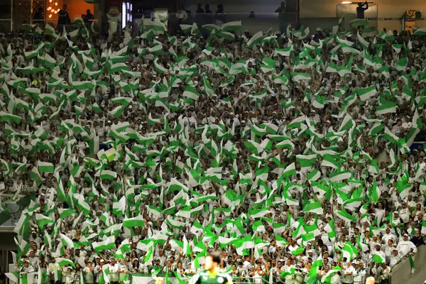 Torcida do Palmeiras. Foto: Divulgação