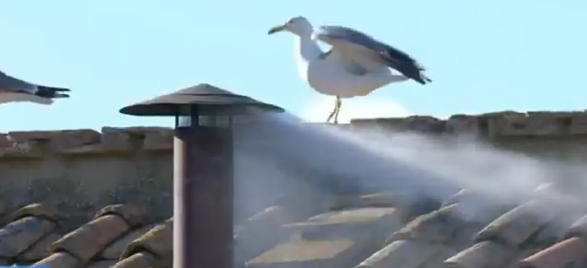 Na tarde desta quinta-feira (8), a chaminé instalada no topo da Capela Sistina liberou fumaça branca, e temos um novo Papa. Na tarde desta quinta-feira (8), a chaminé instalada no topo da Capela Sistina liberou fumaça branca, e temos um novo Papa.