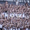 Torcida do Santos. Foto: Divulgação