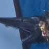 Tubarão-duende assusta pescadores nas Ilhas Canárias com aparência 'alienígena'