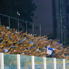 Foto: Jorge Luís Totti/Paysandu