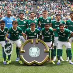 O Palmeiras venceu o Botafogo. Foto: Cesar Greco/Palmeiras/by Canon