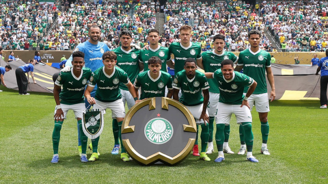 O Palmeiras venceu o Botafogo. Foto: Cesar Greco/Palmeiras/by Canon