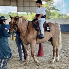 Animais treinados reforçam ações de segurança e apoio social no Pará