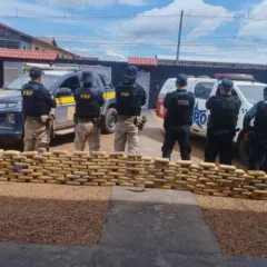 A Polícia Rodoviária Federal (PRF), em ação conjunta com a Polícia Militar do Pará (PM), apreendeu 209 quilos de maconha. Foto: Divulgação