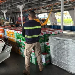 Apreensões ocorreram no Baixo Amazonas, região de Carajás e no nordeste paraense