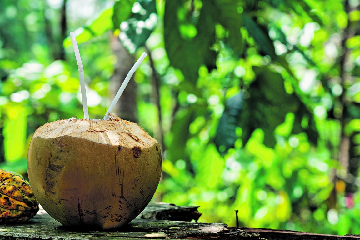 Água de coco também é uma ótima opção para a criançada se hidratar durante o verão FOTO: freepik

