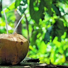 Água de coco também é uma ótima opção para a criançada se hidratar durante o verão FOTO: freepik

