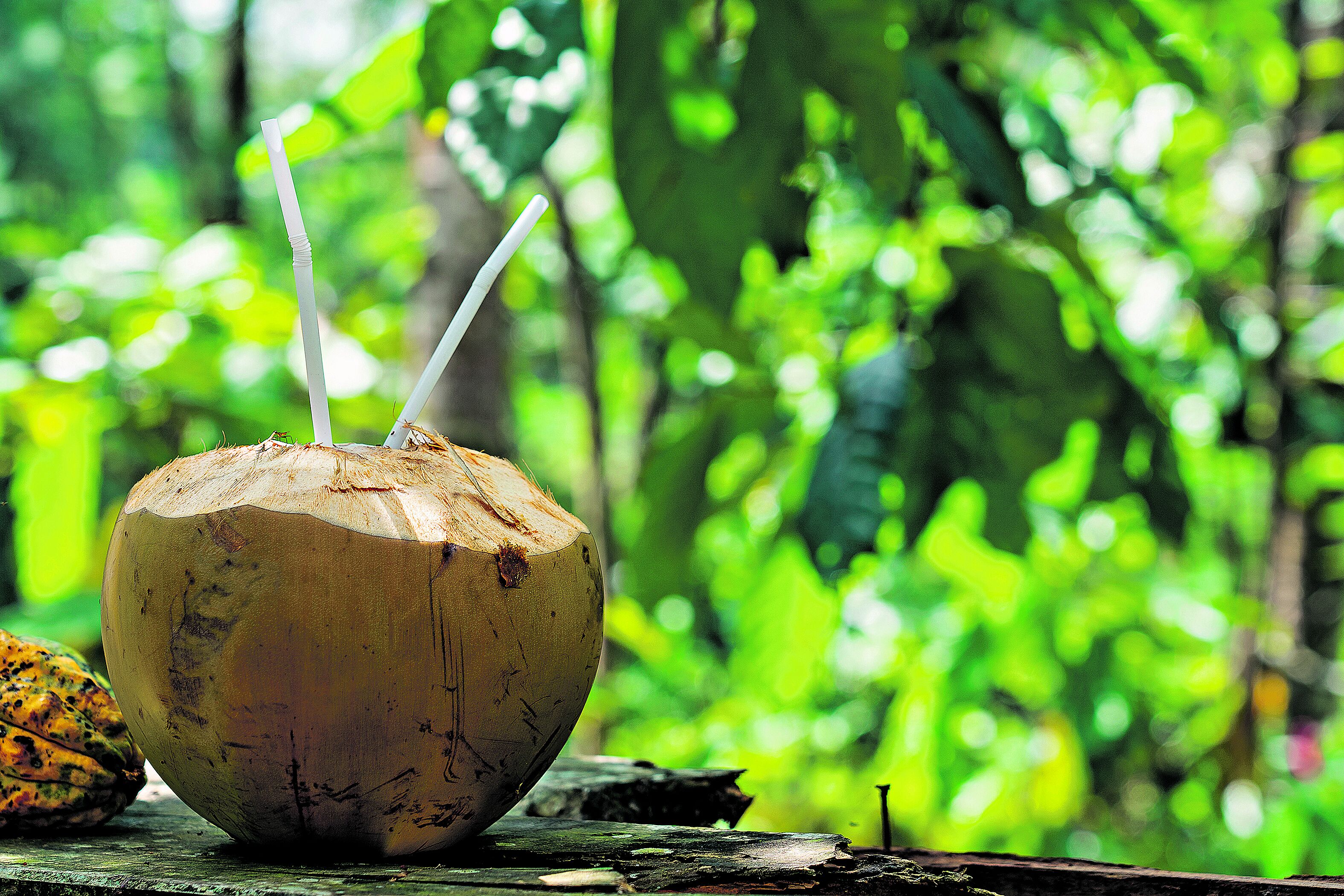 Os preços de bebidas e frutas esquentaram e prometem encarecer muito o “verão amazônico” da população paraense.