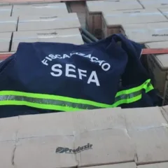Ações de fiscalização realizadas em Cachoeira do Piriá, Novo Progresso e Juruti somaram mais de R$ 400 mil em mercadorias irregulares