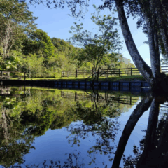 O período conhecido como Verão Amazônico se aproxima e, com ele, a vontade de se refrescar nas águas de algum igarapé ou balneário