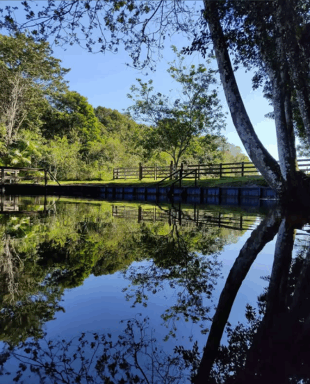 O período conhecido como Verão Amazônico se aproxima e, com ele, a vontade de se refrescar nas águas de algum igarapé ou balneário