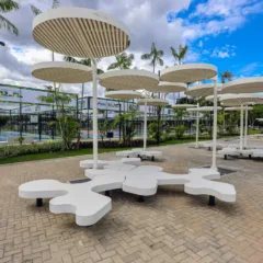 O Parque da Cidade, em Belém, agora oferece mais conforto aos frequentadores com a instalação de 300 novos bancos
