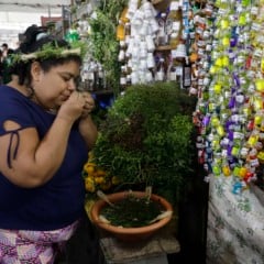 O período de procura não é por acaso, pois durante o mês de junho é que são cultivadas algumas folhas e ervas que não são encontradas em outras épocas do ano.