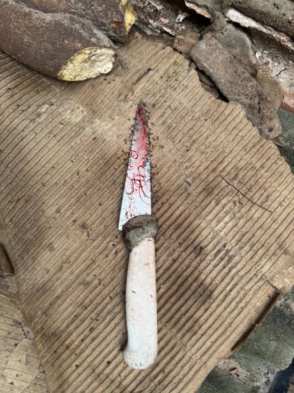 Crime chocante em Itaituba: PM prende homem por matar mãe com facadas