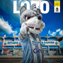 Paysandu volta a jogar na Curuzu, hoje, diante do Criciúma,