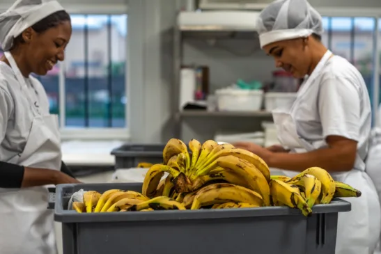 Coca-Cola Brasil, em parceria com a Ação da Cidadania, um dos maiores nomes nessa luta no país, anuncia a criação do Hub de Segurança Alimentar e Nutricional em Belém
