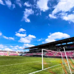 Joinville (JEC) e Brasil de Pelotas se enfrentam neste domingo (1º/6), às 16h, na Arena Joinville, em jogo válido pela 7ª rodada