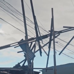 O vento forte derrubou árvores, destelhou casas e afetou várias famílias da comunidade.