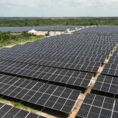 Funciona assim: por meio de um cadastro pelo site, o cliente realiza sua adesão e se associa a uma das usinas solares da Echoenergia.