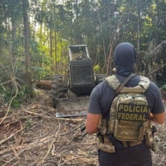 Quatro pessoas foram presas e maquinário apreendido durante operação no Projeto de Assentamento Chapadão, em Santarém