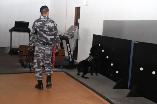 A Polícia Militar do Pará concluiu a primeira semana do curso de especialização para condutores e cães farejadores de explosivos