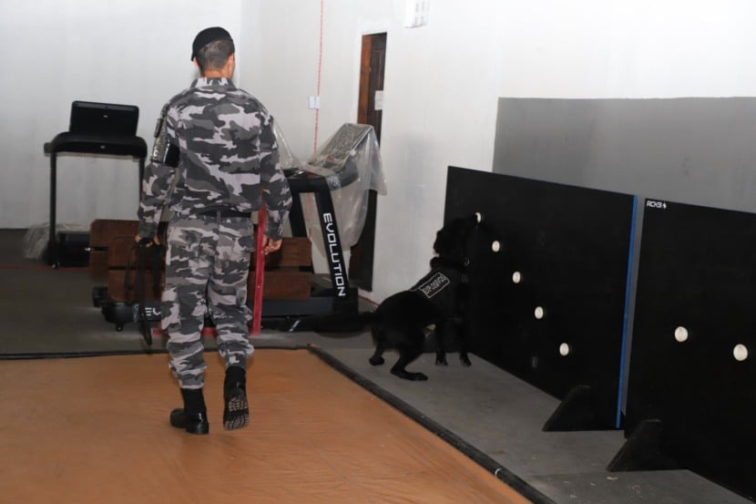 A Polícia Militar do Pará concluiu a primeira semana do curso de especialização para condutores e cães farejadores de explosivos
