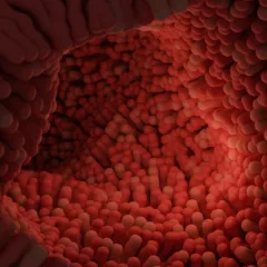 Com exceção dos tumores de pele não melanoma, o câncer de cólon e reto está na terceira posição entre os tipos de enfermidade oncológica mais frequentes no país.