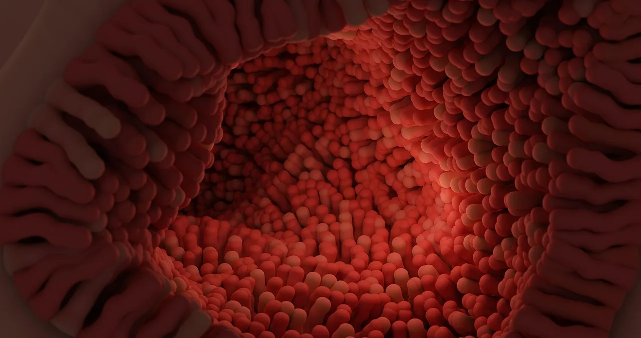 Com exceção dos tumores de pele não melanoma, o câncer de cólon e reto está na terceira posição entre os tipos de enfermidade oncológica mais frequentes no país.