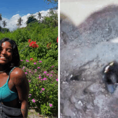 Juliana Marins, de 26 anos, está há mais de 30 horas em local de difícil acesso no vulcão Rinjani.